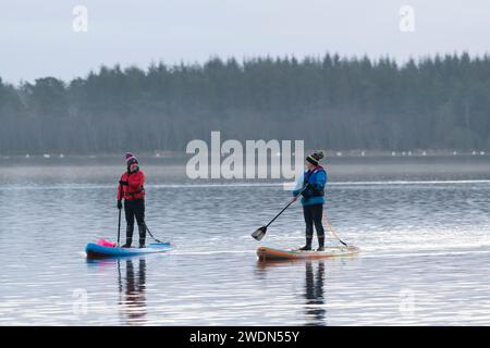 Zwei Personen stehen Up Paddle Boarding (SUP) am Loch of Skene an einem ruhigen Morgen im Winter Stockfoto