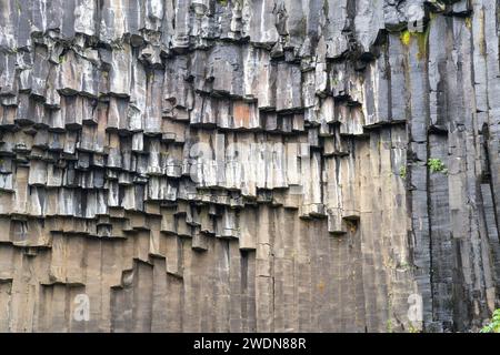 Nahaufnahme der Basaltsäulen am Svartifoss Wasserfall im Skaftafell Nationalpark mit seinen berühmten schwarzen Basaltsäulen, Island Stockfoto