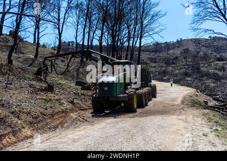 MIJAS, SPANIEN - 19. MÄRZ 2023: Verbrannter Wald auf dem Weg zum Gipfel Mijas in Mijas, Spanien am 19. März 2023 Stockfoto