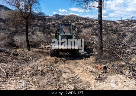 MIJAS, SPANIEN - 19. MÄRZ 2023: Verbrannter Wald auf dem Weg zum Gipfel Mijas in Mijas, Spanien am 19. März 2023 Stockfoto