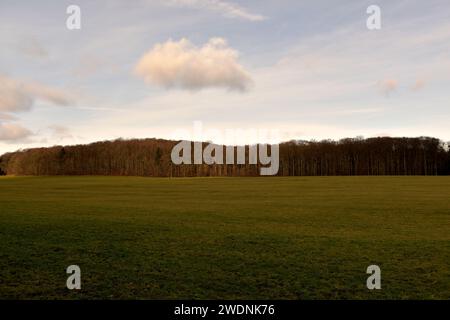 Actuell Klimawandel in Europa Stockfoto