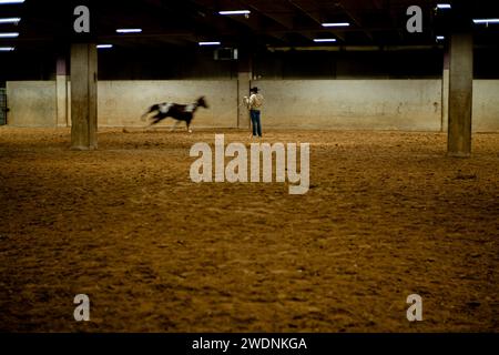 Fort Worth, Texas, USA. Januar 2024. Trotz der eisigen Temperaturen packen eine Vielzahl von Rodeo-Enthusiasten in die Dickies Arena und trotzen der Kälte, um die Händler zu durchstöbern, in die Welt der Rinder, Schafe und Schweine einzutauchen und faszinierende Darbietungen zu erleben. (Kreditbild: © Chris Rusanowsky/ZUMA Press Wire) NUR REDAKTIONELLE VERWENDUNG! Nicht für kommerzielle ZWECKE! Quelle: ZUMA Press, Inc./Alamy Live News Stockfoto