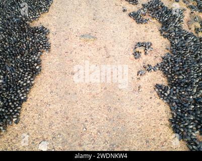 Actuell Klimawandel in Europa Stockfoto