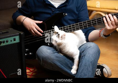 latein-Mann lernt E-Bass zu Hause mit einer weißen Katze zu spielen Stockfoto