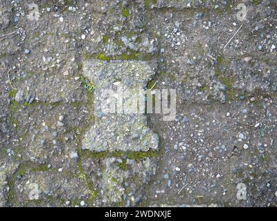 Hintergrund aus alten Kacheln. Pflaster aus Betonplatten. Moos zwischen den Steinen. Muster Stockfoto