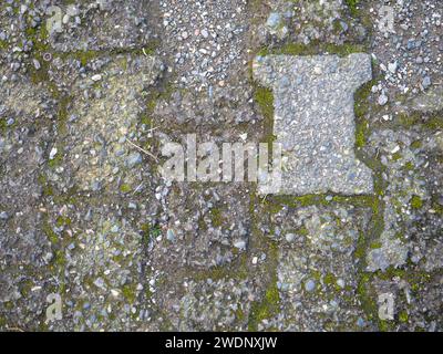 Hintergrund aus alten Kacheln. Pflaster aus Betonplatten. Moos zwischen den Steinen. Muster Stockfoto