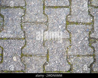 Hintergrund aus alten Kacheln. Pflaster aus Betonplatten. Moos zwischen den Steinen. Muster Stockfoto