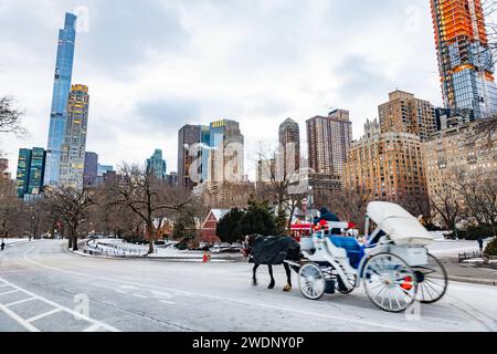 Vintage-Winterblick auf die Gebäude im Stadtbild von Manhattan vom Central Park aus mit einer Pferdekutsche in New York Stockfoto