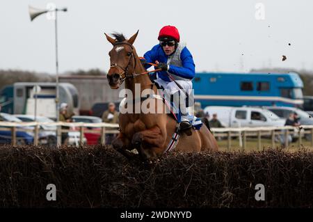 Drei und H. Myddelton gewinnen das 4-, 5- und 6-jährige Maiden Race beim Heythrop Hunt P2P in Cocklebarrow. Credit JTW equine Images / Alamy. Stockfoto