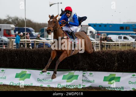 Drei und H. Myddelton gewinnen das 4-, 5- und 6-jährige Maiden Race beim Heythrop Hunt P2P in Cocklebarrow. Credit JTW equine Images / Alamy. Stockfoto