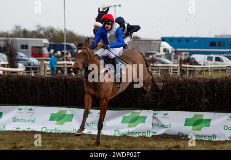 Drei und H. Myddelton gewinnen das 4-, 5- und 6-jährige Maiden Race beim Heythrop Hunt P2P in Cocklebarrow. Credit JTW equine Images / Alamy. Stockfoto