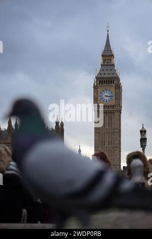 Eine verschwommene Taube vor Big Ben in London, England Stockfoto