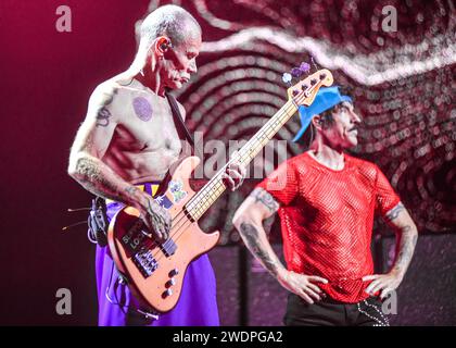 Floh (Bass), Anthony Kiedis (Gesang). Rote, Heiße Chili-Paprika. Lebt in Buenos Aires, Argentinien Stockfoto