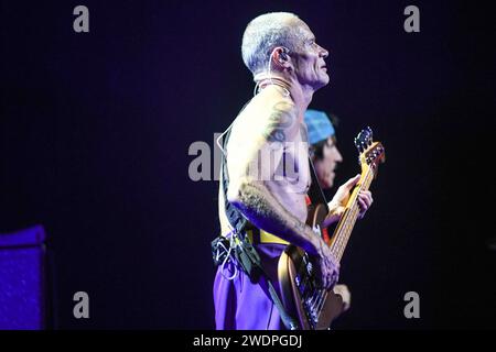 Floh (Bass), Anthony Kiedis (Gesang). Rote, Heiße Chili-Paprika. Lebt in Buenos Aires, Argentinien Stockfoto