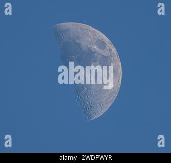 Eine schöne Nahaufnahme der Halberde im blauen Himmel Stockfoto