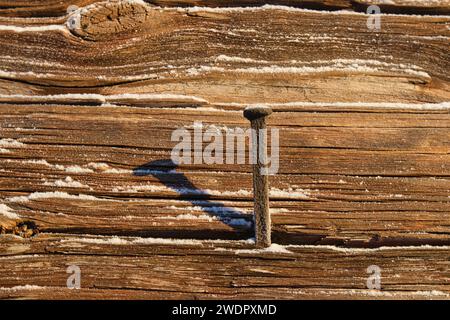 Ein einziger rostiger Nagel, der im Winter draußen in einer alten Holzwand steckte Stockfoto