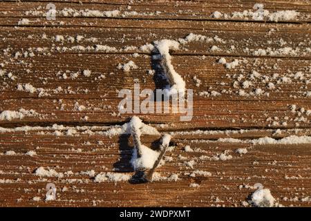 Verbogene, rostige Nägel, die im Winter draußen in einer alten Holzwand stecken geblieben sind Stockfoto