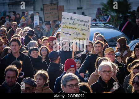 Eine weitere Demonstration gegen das Einwanderungsgesetz in Lyon. Stockfoto