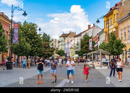 Blick auf die Straße von Sibiu, Siebenbürgen, Rumänien Stockfoto