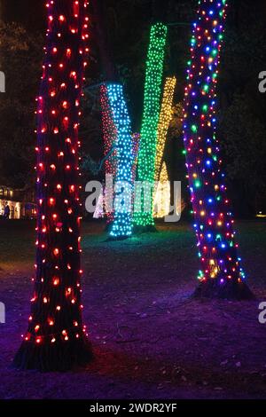 Weihnachtsbeleuchtung und festliche Ausstellungen in Longwood Gardens, Botanical Garden in Pennsylvania Stockfoto