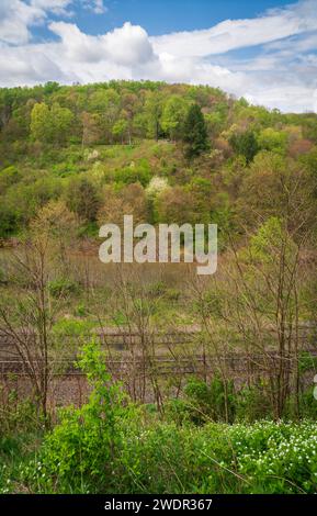 Das Johnstown Flood National Memorial über die Johnstown Flood, Pennsylvania, USA Stockfoto