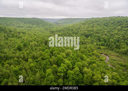 Der Kinzua Bridge State Park in Pennsylvania Stockfoto