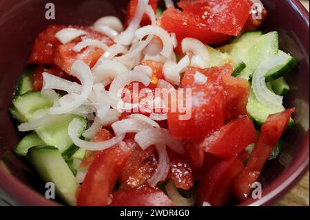 Geschnittene frische Gurken, Tomaten und weiße Zwiebel bestreut mit grobem Salz in Einer Salatplatte Großansicht Stockfoto