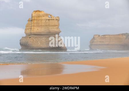 Rocky Islet of the Twelve Apostles, Great Ocean Road, Victoria Stockfoto