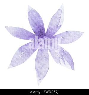 Aquarellblumen, zarte abstrakte Blumen, rote, blaue und rosa Blumen. Stockfoto