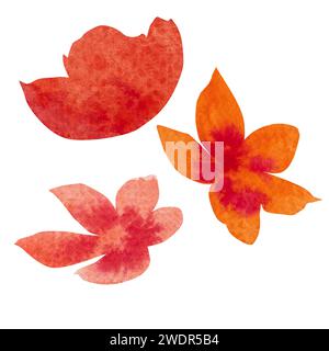 Aquarellblumen, zarte abstrakte Blumen, rote, blaue und rosa Blumen. Stockfoto
