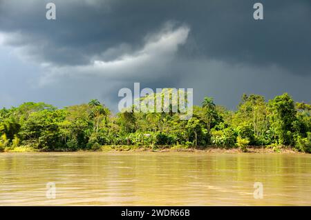 Südamerika, Amazonas, Ecuador, Napo Wildlife Center, Yasuni Nationalpark, See Von Anangurocha, Lagune Stockfoto