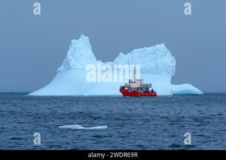 Kanada, Maritimes, Neufundland, Saint Lunaire-Griquet, Eisberg und Ausflugsboot Stockfoto