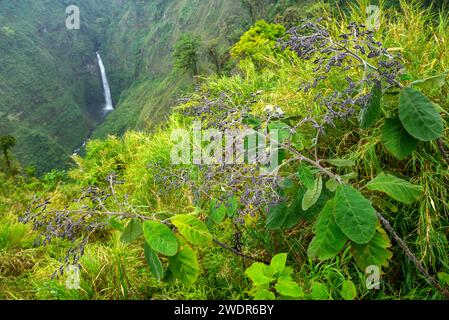 Zentralamerika, Costa Rica, Provinz Alajuela, am Vulkan Poas Stockfoto