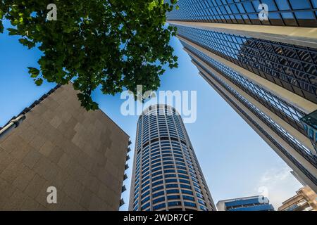 Erkunden Sie das dynamische Herz von Sydney: Das Stadtzentrum Stockfoto