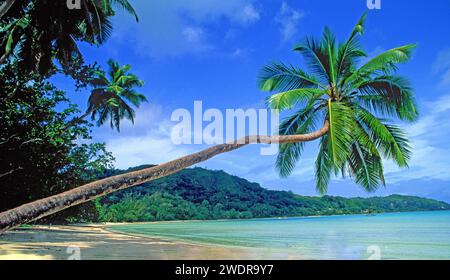 Grand Anse Bay, Praline, Seychellen Stockfoto