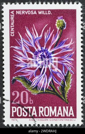 Gestempelte Briefmarke, gedruckt von Rumänien, die Plume Knapweed (Centaurea nervosa) zeigt, um 1974. Stockfoto