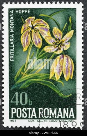 Gestempelte Briefmarke, gedruckt von Rumänien, die Fritillaria-Blüte zeigt, um 1974. Stockfoto