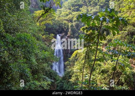 Wunderschöner Wasserfall im Dschungel, Bolivien, Südamerika Stockfoto