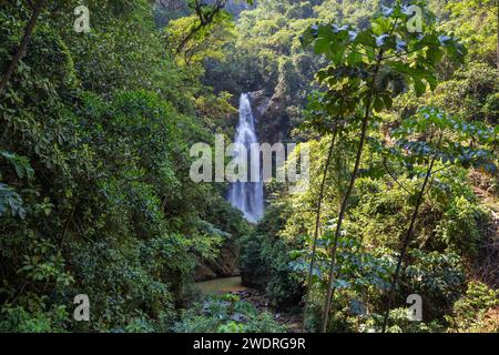 Wunderschöner Wasserfall im Dschungel, Bolivien, Südamerika Stockfoto