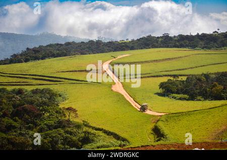 Eine idyllische Feldstraße schlängelt sich durch die sanften grünen Hügel. Stockfoto