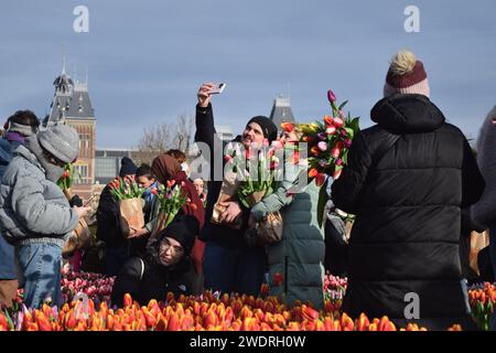 Vor kurzer Zeit versammelten sich Tausende am 3. Samstag im Januar, um den Nationalfeiertag der Tulpen zu feiern, der den Beginn der Tulpenschnittsaison markiert. Am Amsterdamer Museumplein zog ein Tulpenpflückgarten mit etwa 200.000 Tulpen eine geschäftige Menschenmenge an. Der Garten öffnete um 13:00 Uhr, und das begeisterte Treffen hatte die Gelegenheit, kostenlose Sträuße zu pflücken. Das Thema „Let's Dance!“ aus dem Jahr 2024 Der DJ und Produzent Hardwell eröffnen offiziell den Garten. Beginnend mit diesem bedeutsamen nationalen Tulpentag. Amsterdam, Niederlande, 20. Januar 2024. P Stockfoto