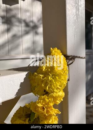 Marigold Garland im Sonnenlicht für Dia de Los Muertos Stockfoto