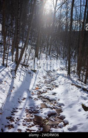 Der Bouchoux Trail in der Nähe von Long Eddy NY ist ein 5,5 km langer Wanderweg am Delaware River, der im Winter unter ein paar Zentimetern Schnee fotografiert wurde Stockfoto