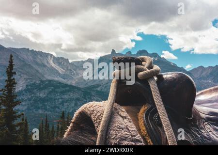 Pferdesattel in den Bergen von Wyoming Stockfoto