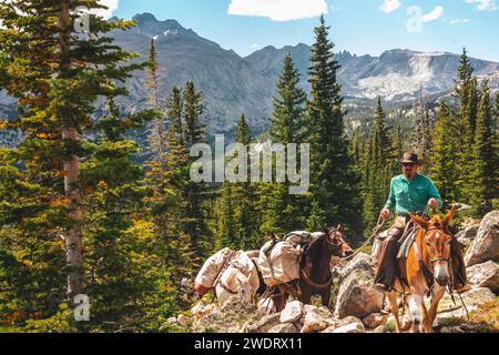 Cowboy, der seine Pferde durch die Wyoming Mountains führt Stockfoto