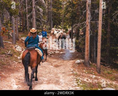 Rucksack-Trip durch das Hinterland der Wyoming Mountains Stockfoto