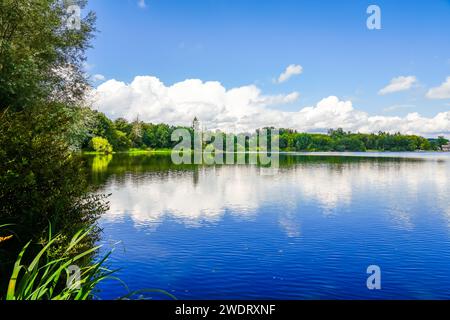 Natur am Brucher Damm bei Marienheide in Nordrhein-Westfalen. Blick auf den See mit der umliegenden Landschaft. Stockfoto