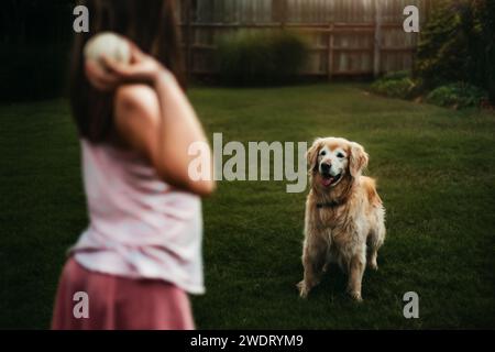 Der Hund wartet darauf, dass der Ball geworfen wird Stockfoto