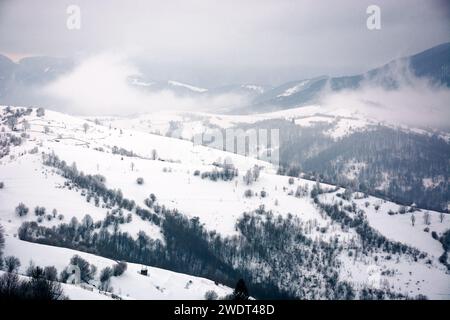 Nebeliger Morgen im Winter. karpaten-Landschaft in schneebedeckten Hügeln im Sturm. alpines Hochland der ukraine bei schlechtem Wetter Stockfoto