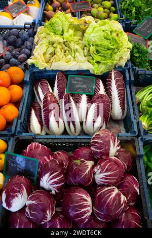 Gemüse einschließlich Radicchio zum Verkauf, Viktualienmakt (Markt), Altstadt, München, Bayern, Deutschland, Europa Stockfoto